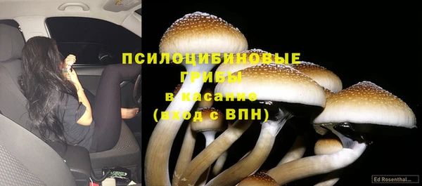 стафф Беломорск
